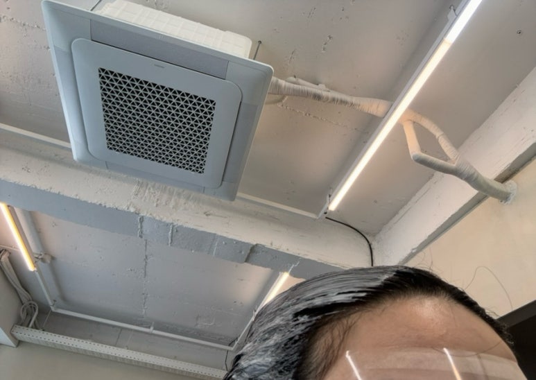 어네프 이미지