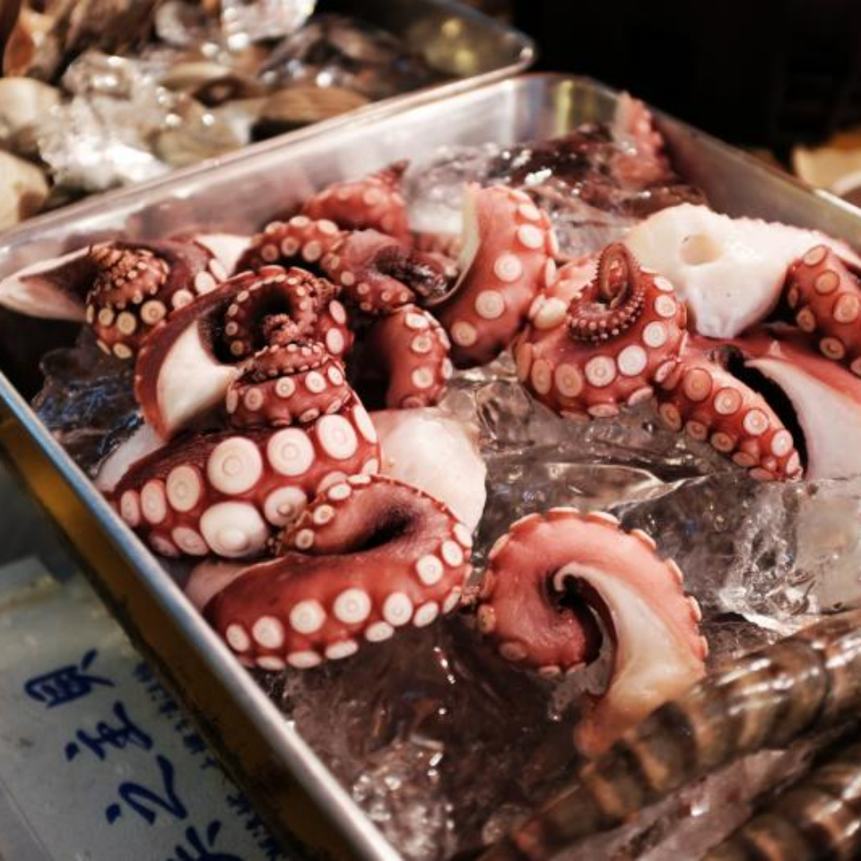 바다쉐프 이미지
