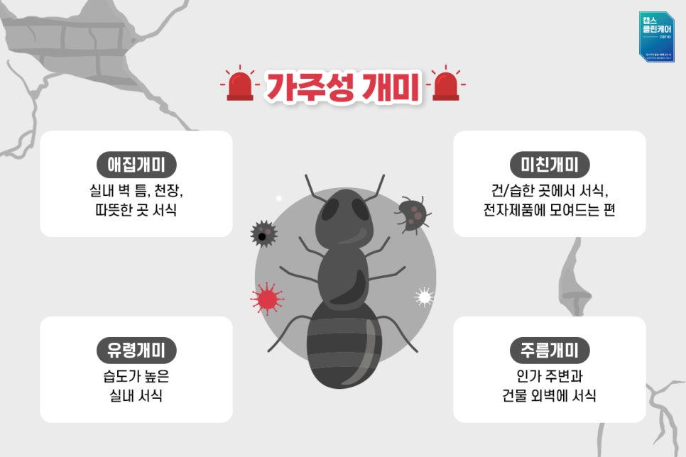 개미클린 이미지