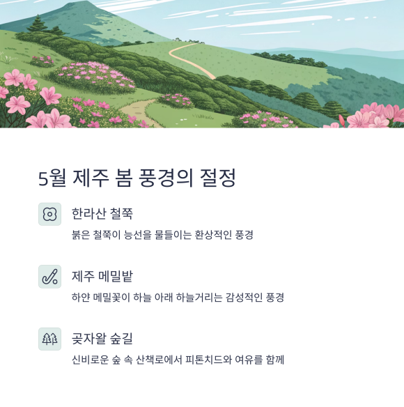 자연감성 이미지
