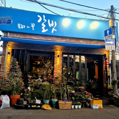 갈빗 이미지