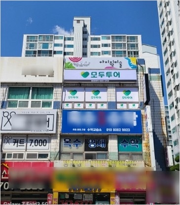 벤자민 투어 이미지