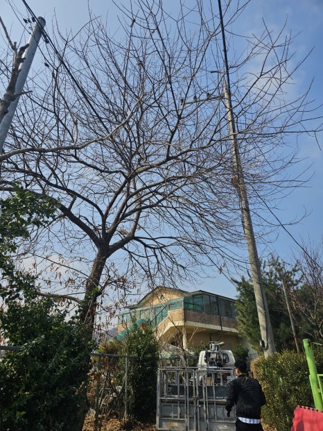 스카이디벨롭 이미지