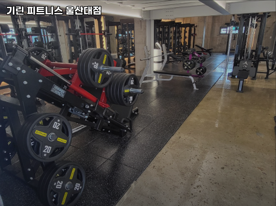 기린피트니스 이미지
