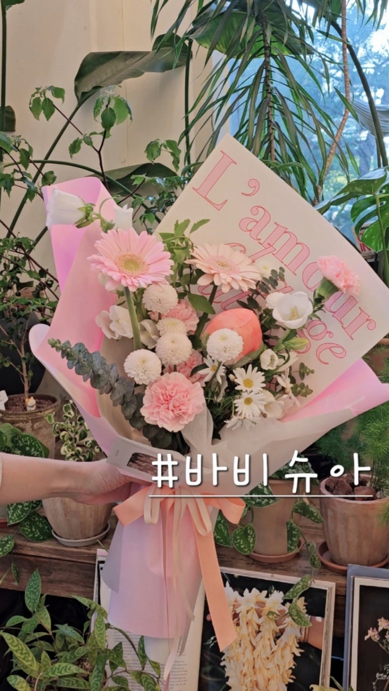 바비슈아 이미지
