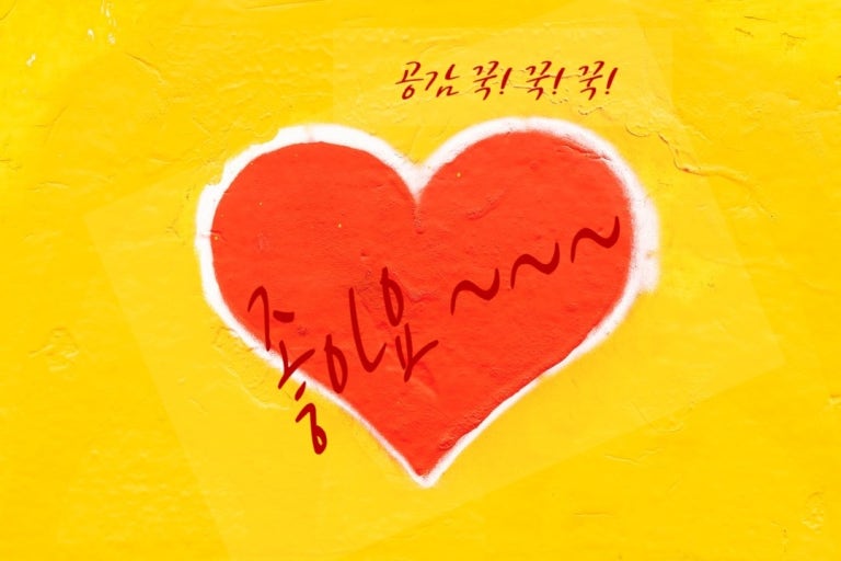 카랜드라인 이미지