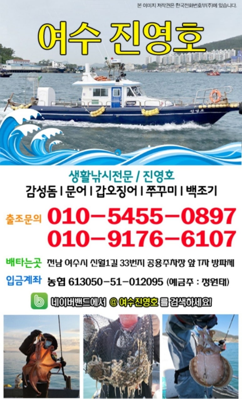 5진영호 이미지