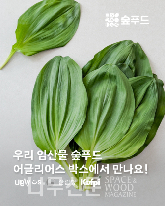푸드숲 이미지