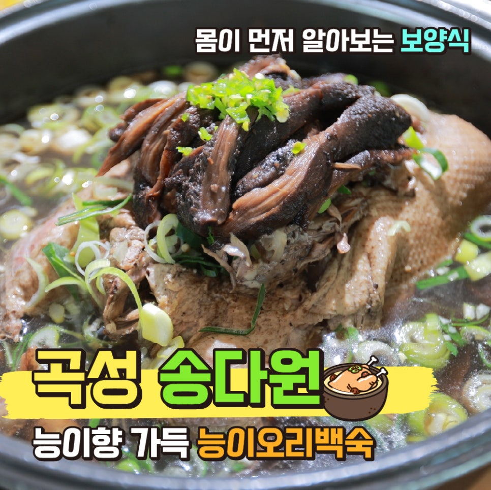 송다원 이미지
