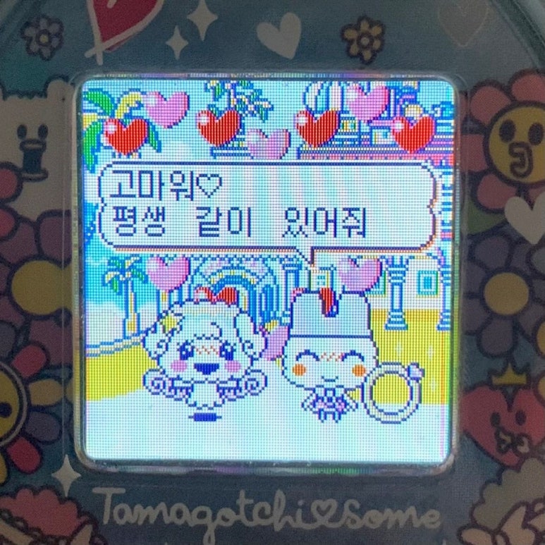 뒤죽박죽 이미지