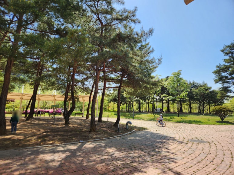 서재체육공원 이미지