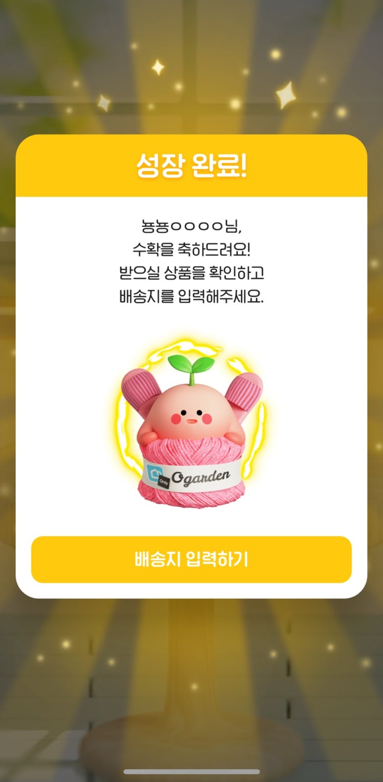 빼꼼슈즈 이미지