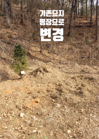 대성장묘 이미지