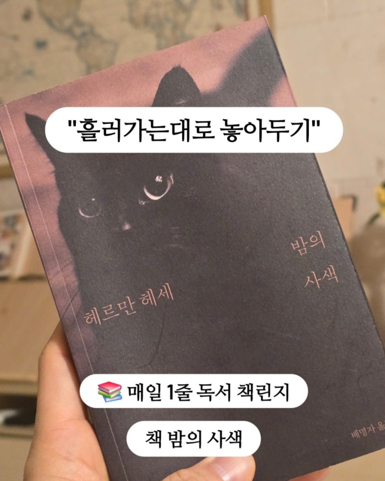 밤의사색 이미지