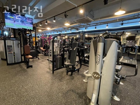 고릴라짐 이미지