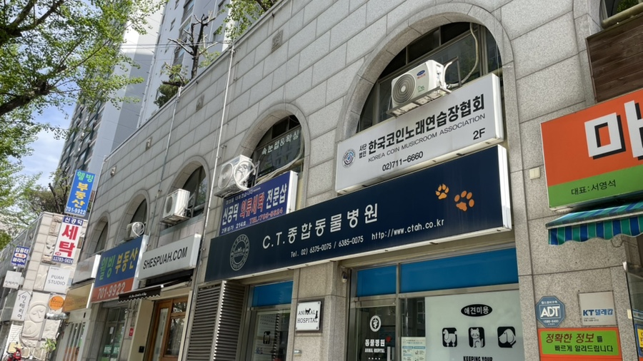프롬엠 이미지