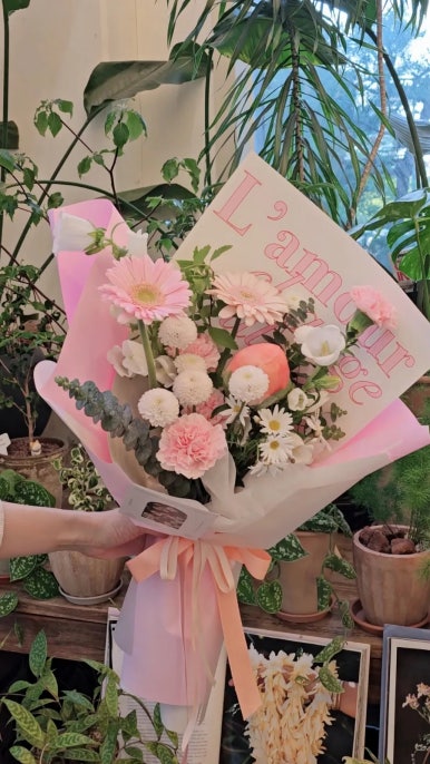 바비슈아 이미지