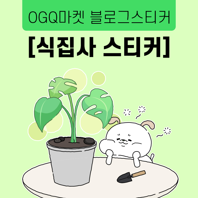 식집사마켓 이미지