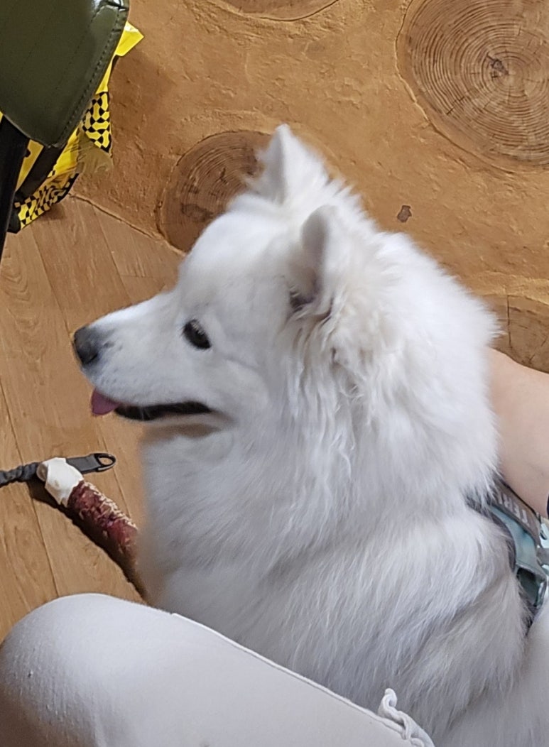 명산한우식육식당 이미지