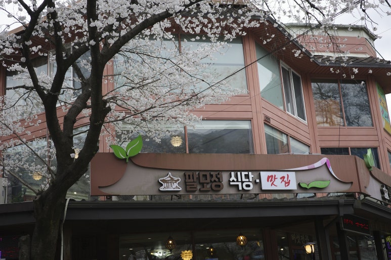 팔모정식당 이미지