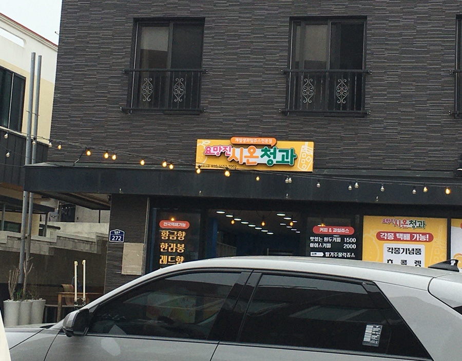 시온청과 이미지