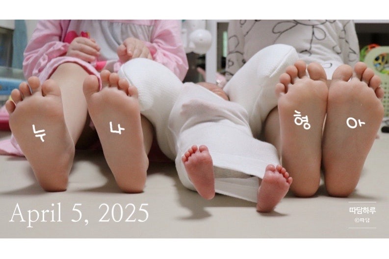 따담 이미지