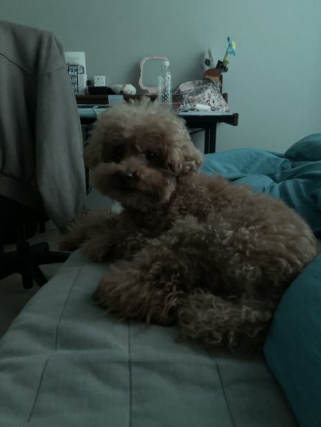 잘래 이미지