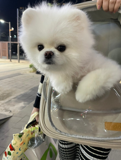 살랑살랑 이미지