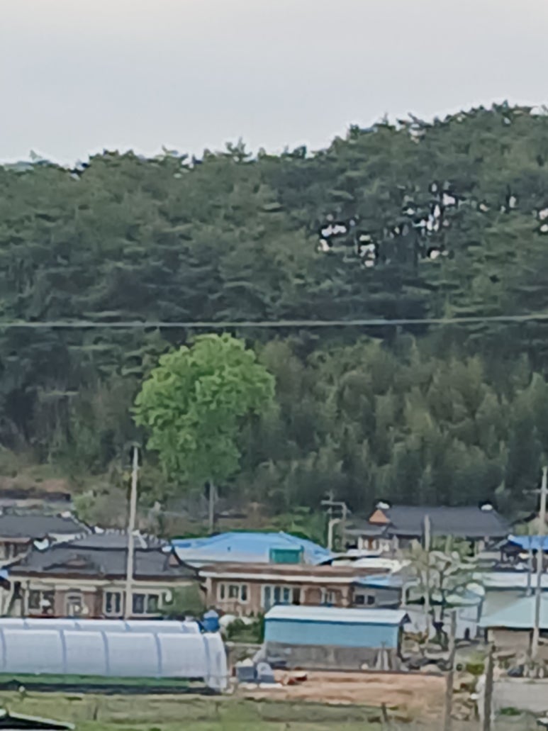 칠보미용실 이미지