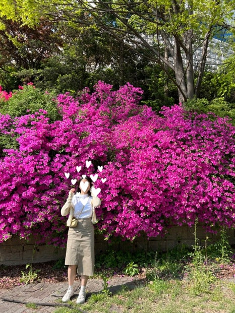 강산화원 이미지
