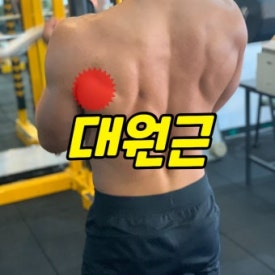 몸이예뻐짐 이미지