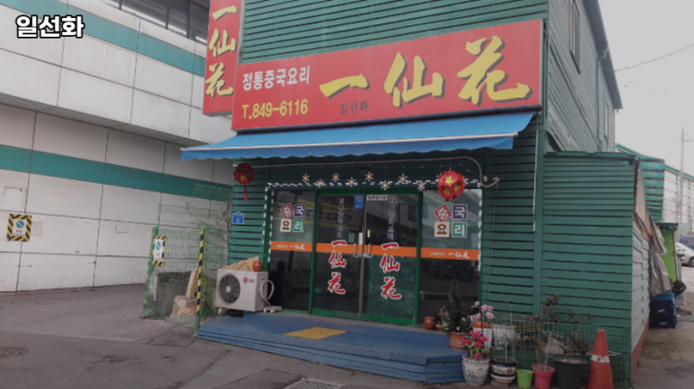 일선화 이미지