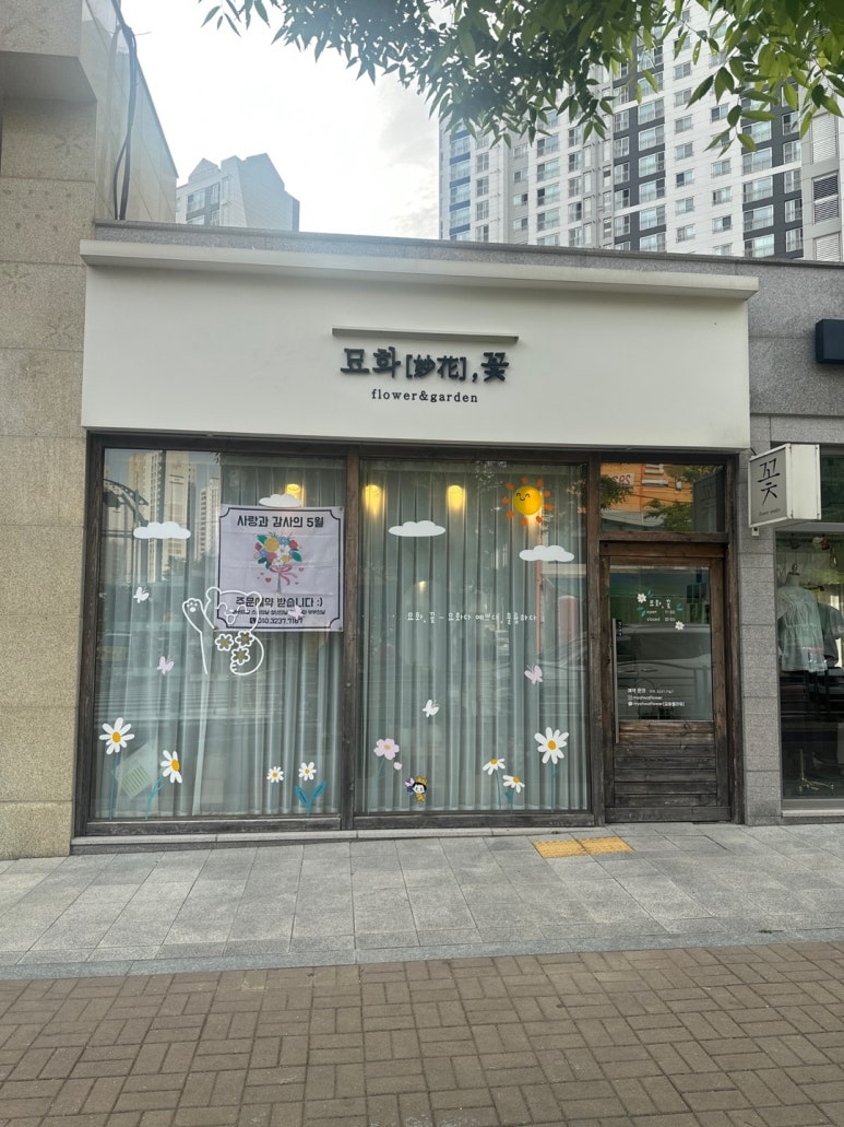 묘화꽃 이미지