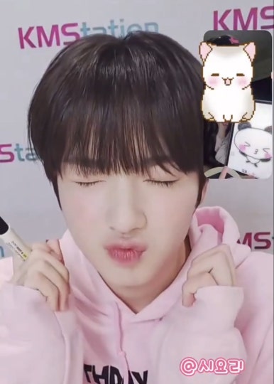 도야지 이미지