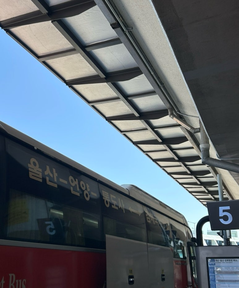 기영이숯불두마리치킨김해 이미지