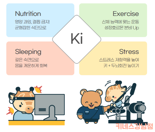 (주)키네스 이미지