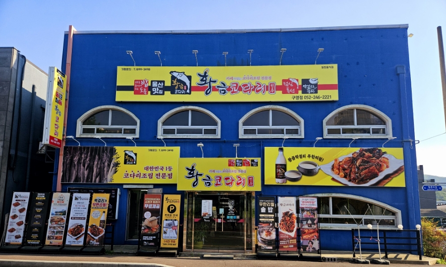 황금코다리 구영점 이미지