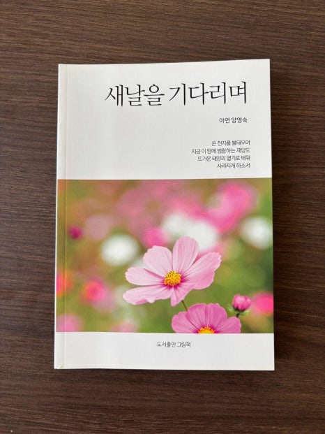양영숙 이미지