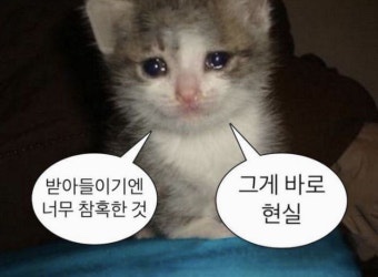 제주담투어 이미지