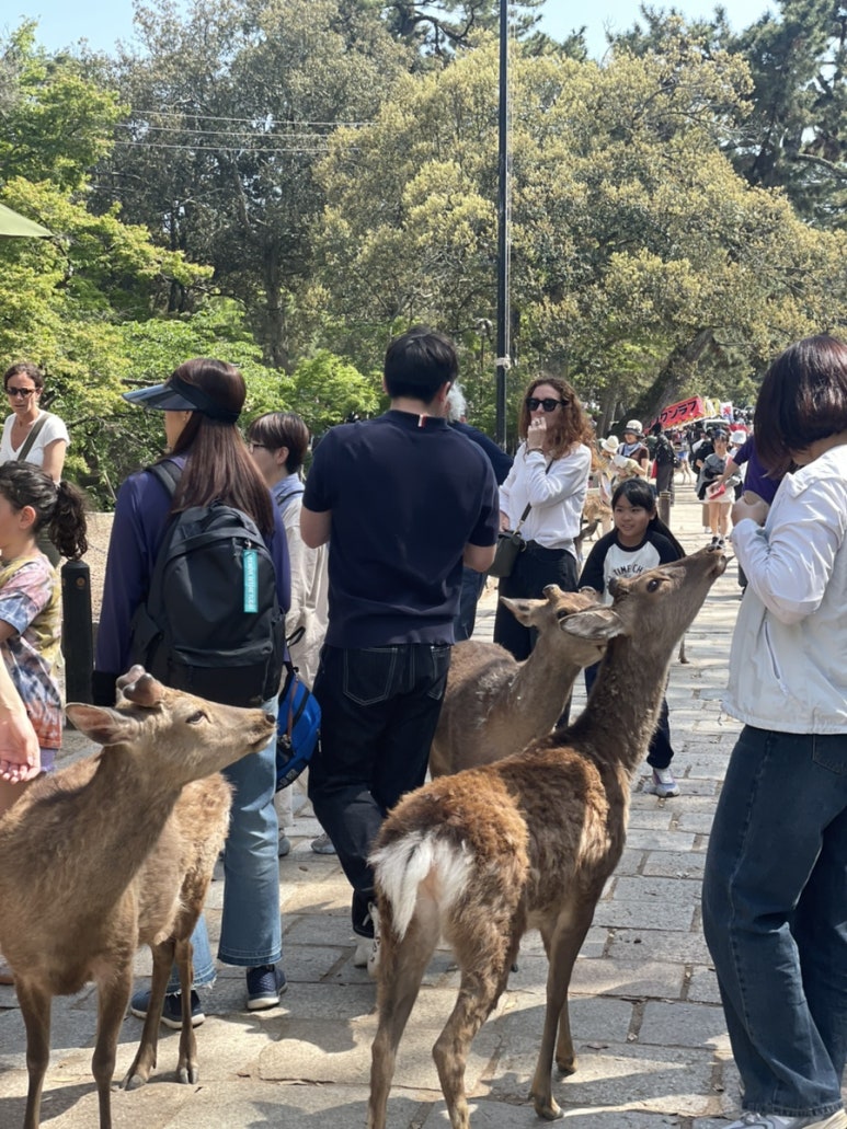 빙쥬르 이미지