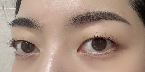 아리솜 이미지