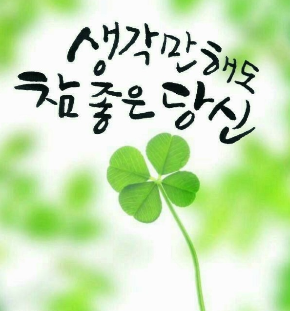 왁싱에진심 이미지