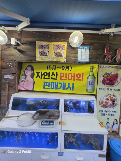 오태호킹크랩 이미지