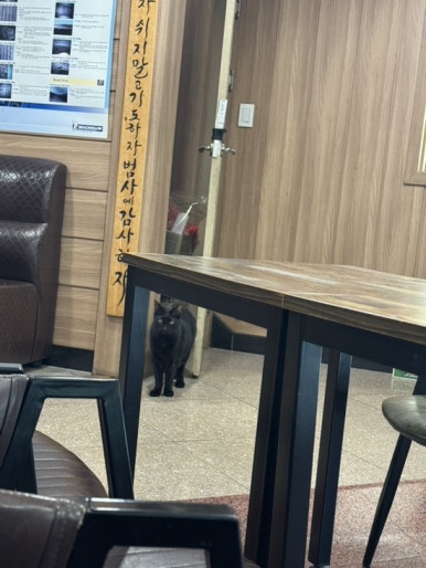 타이어피아 이미지