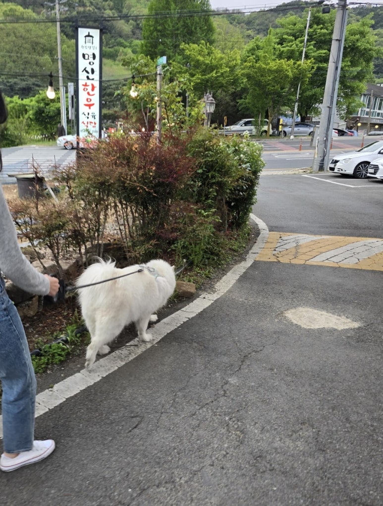 명산한우식육식당 이미지