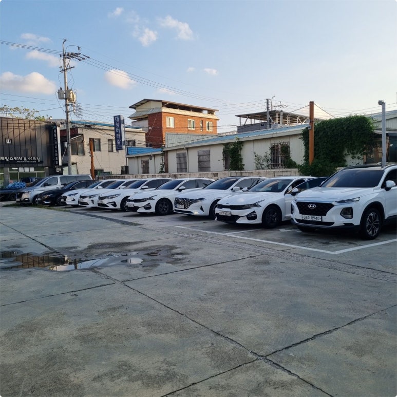 일일사 이미지