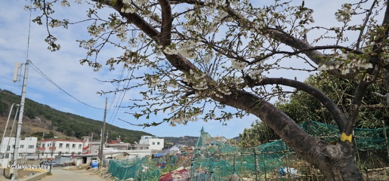 옥이민박 이미지