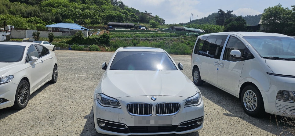 퍼플대동여지도 이미지