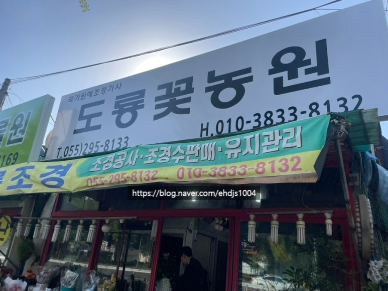 오전꽃농원 이미지