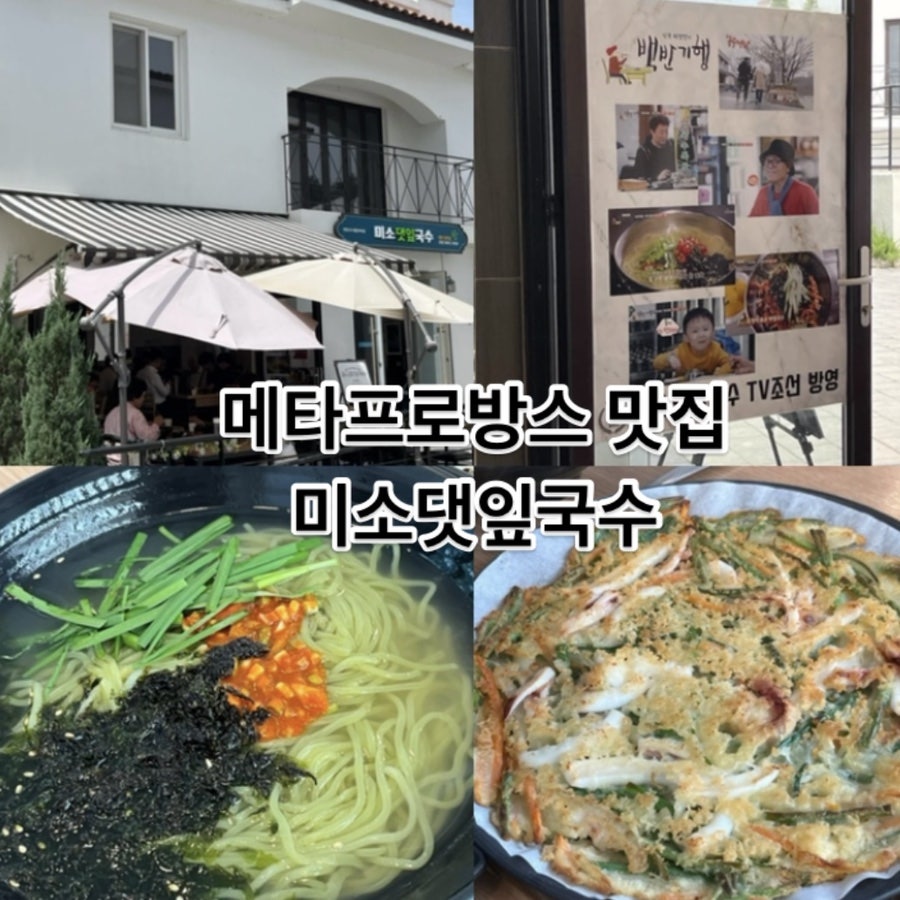 메타381 이미지